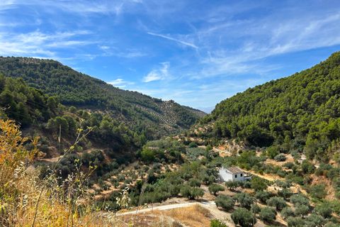 Cortijo i Montefrio, Granada, Montefrio - € 220.000 | Ref: GVCCPCM - foto 36